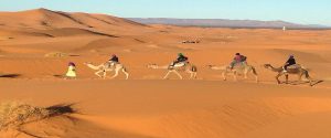 7 Days Morocco Desert Tour Tangier, exploring Chefchaouen, Fes, spend night in Desert camp, enjoy the camel ride in Merzouga desert end tour in Marrakech.
